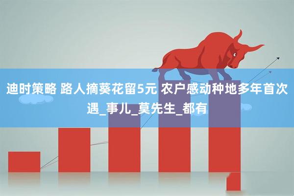 迪时策略 路人摘葵花留5元 农户感动种地多年首次遇_事儿_莫先生_都有